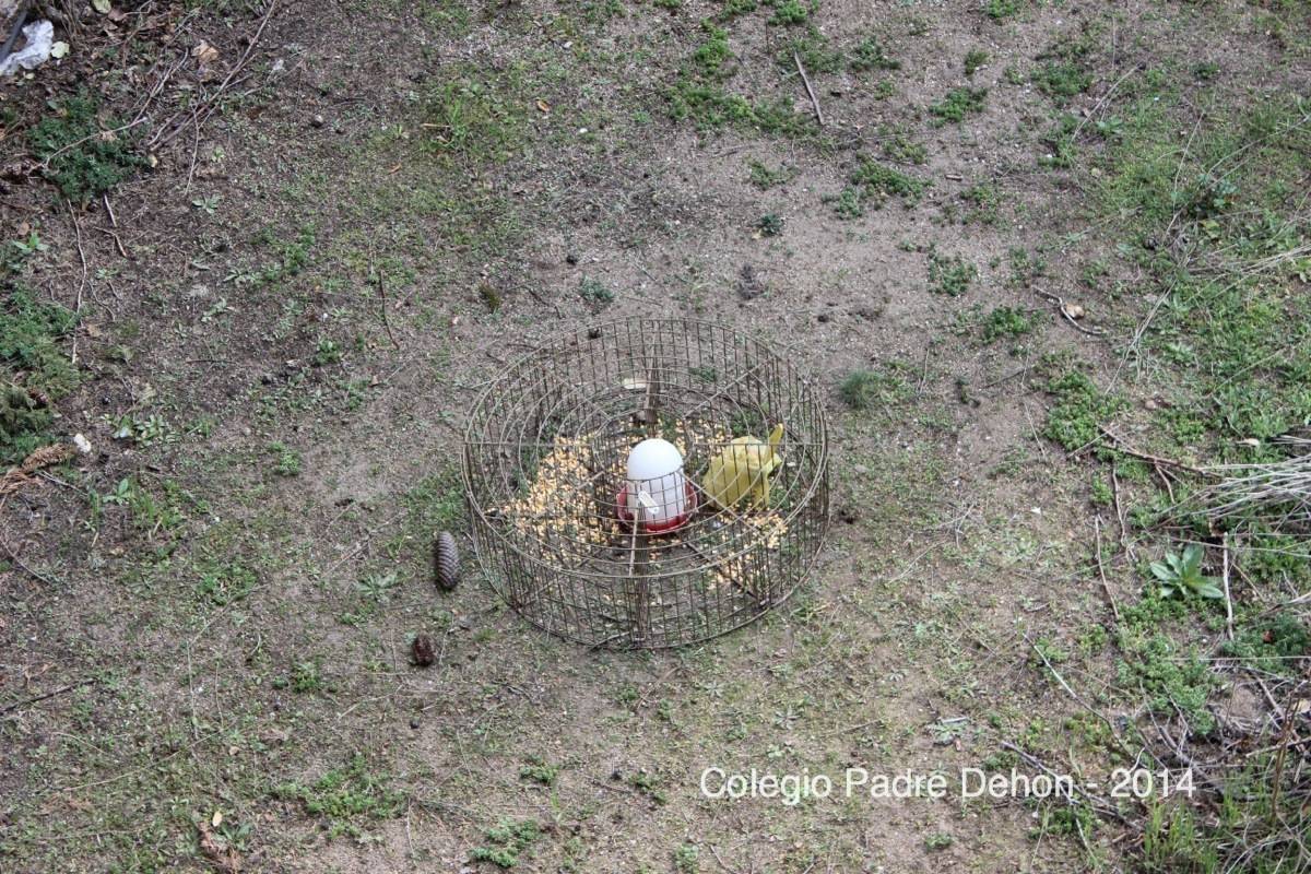 2014 03 20 ÁVILA (58)